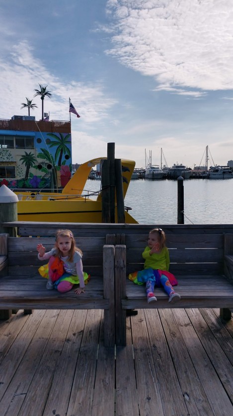 IMG_20190201_100352972_HDR