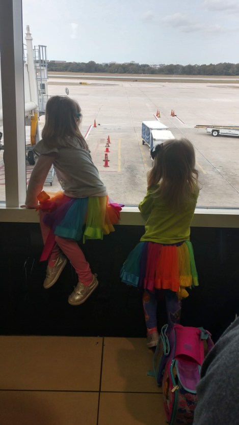 IMG_20190201_125610907_HDR