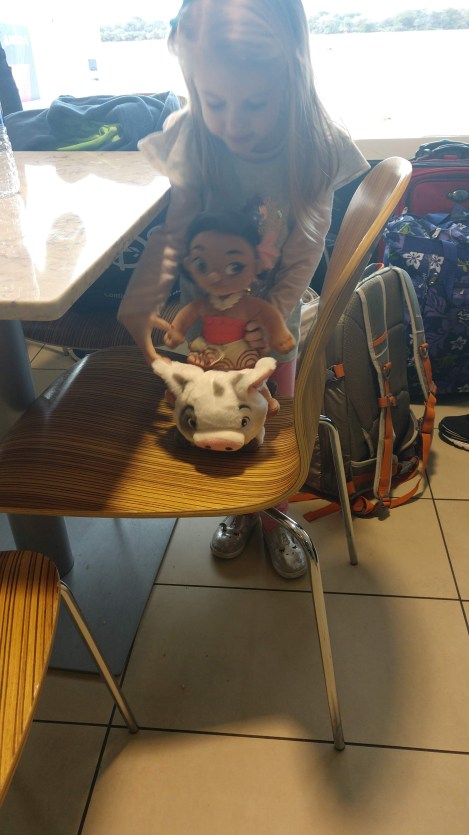 IMG_20190201_132413973