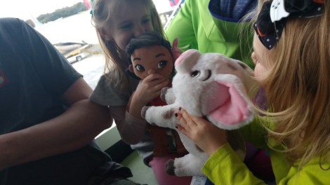 IMG_20190201_134437300