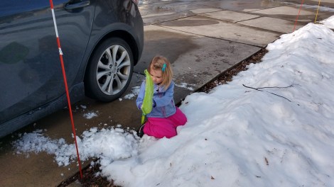 IMG_20190203_141356010_HDR