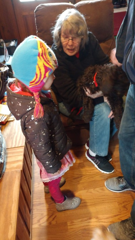 IMG_20190217_133334732