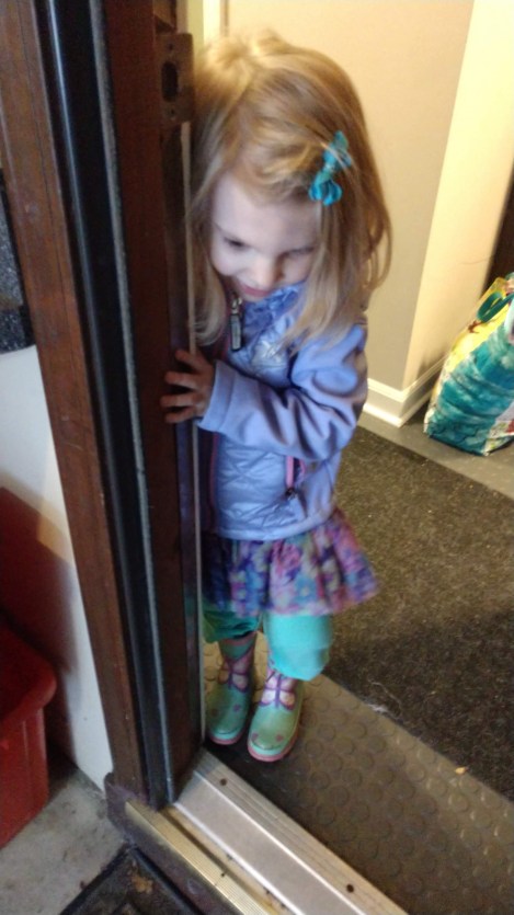 IMG_20190314_183242252_BURST000_COVER