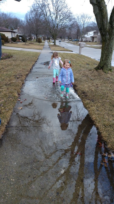 IMG_20190314_183650893