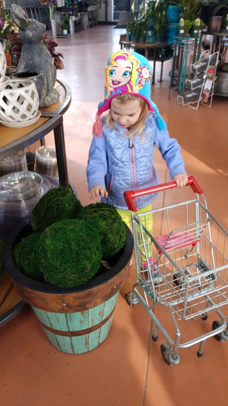 IMG_20190322_103902825