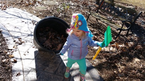 IMG_20190323_120928923_BURST000_COVER