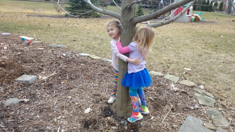 IMG_20190405_174012105_BURST007