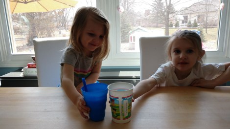 IMG_20190406_133500368_BURST000_COVER