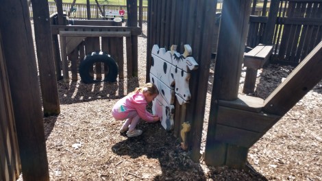 IMG_20190409_153419608_HDR