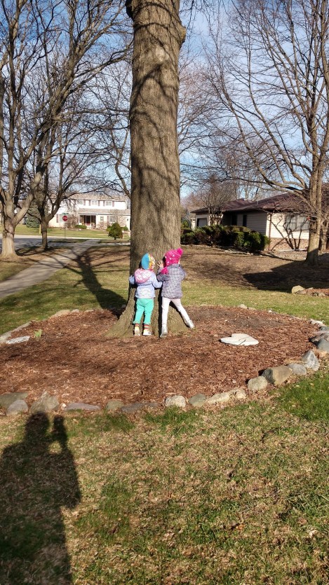 IMG_20190412_175717972_HDR