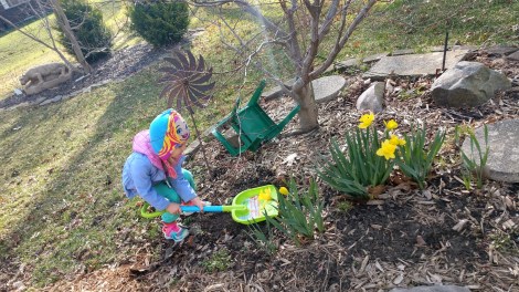 IMG_20190412_180201262_HDR