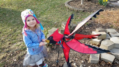 IMG_20190413_183149488_HDR