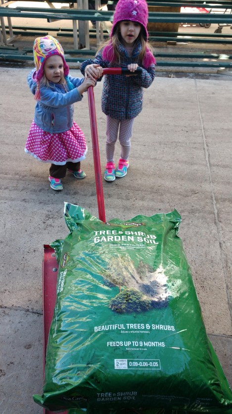 IMG_20190415_163607097