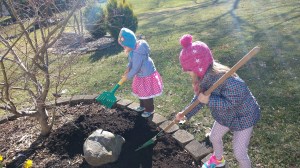 IMG_20190415_170116538