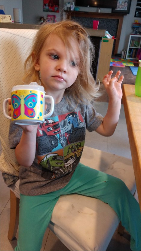 IMG_20190423_081034604