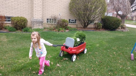 IMG_20190425_170740146