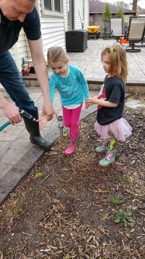 IMG_20190501_184122251_HDR