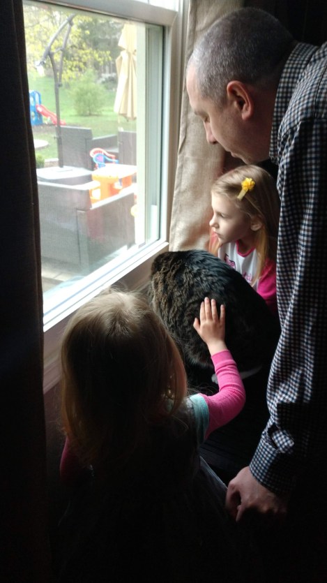 IMG_20190502_081027344