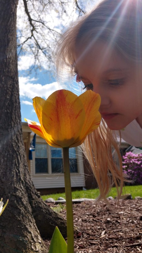 IMG_20190505_154124283_HDR