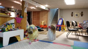 IMG_20190507_150348728_BURST011