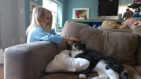 IMG_20190508_175012000