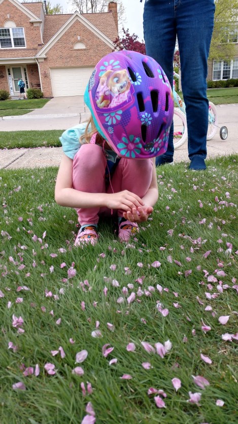 IMG_20190515_160600505_HDR