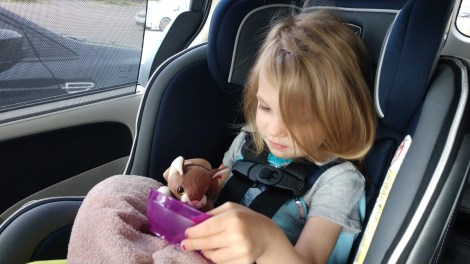 IMG_20190517_085456279