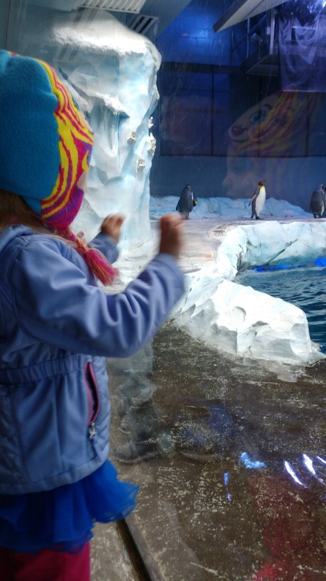 IMG_20190521_124541090