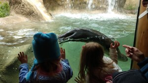 IMG_20190521_125500125