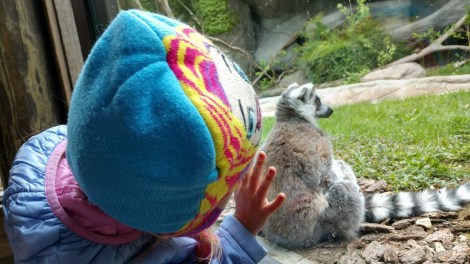 IMG_20190521_131523614_HDR