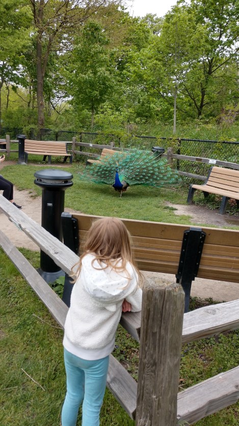 IMG_20190521_133626895_HDR