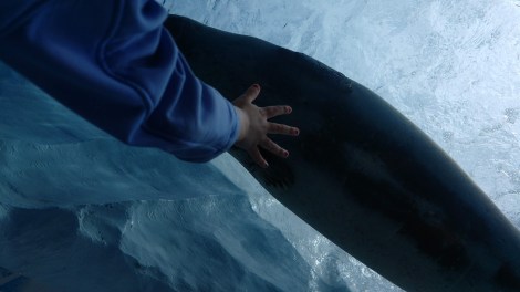 IMG_20190521_135538009_BURST008