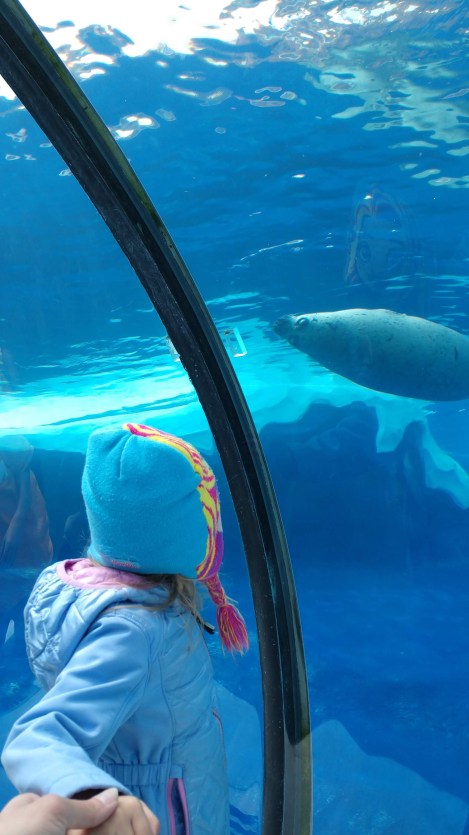 IMG_20190521_135603868