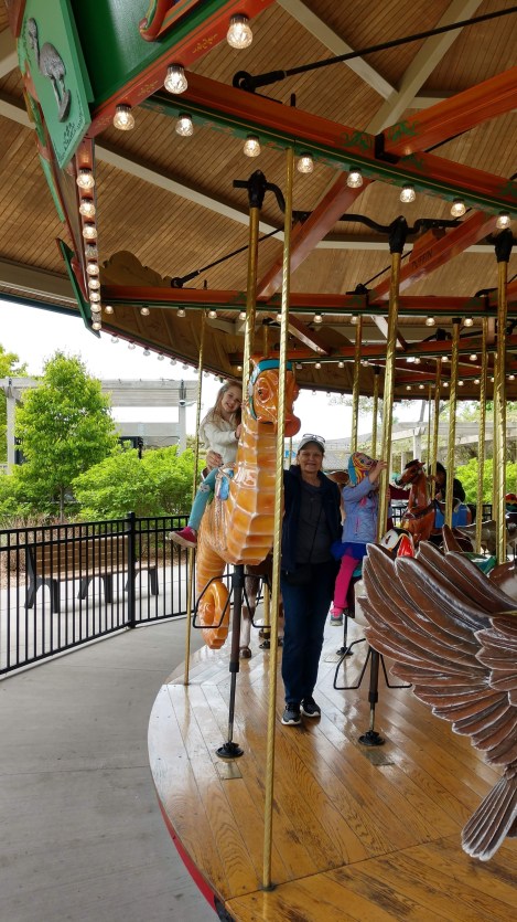 IMG_20190521_141014812_HDR