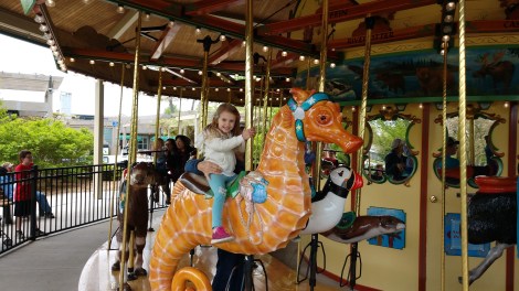 IMG_20190521_141132545