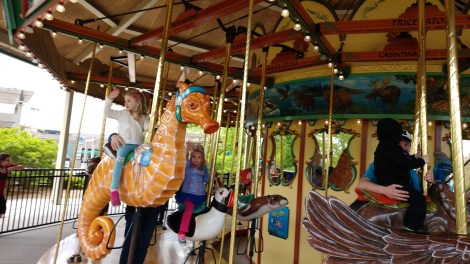 IMG_20190521_141207332