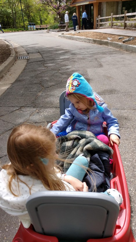 IMG_20190521_142643690_HDR