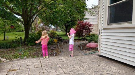 IMG_20190525_124618244_HDR