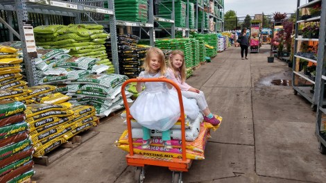 IMG_20190526_110459943_HDR