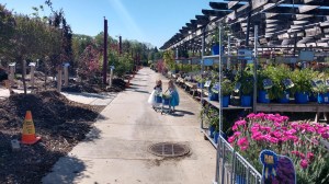 IMG_20190527_103203450_HDR