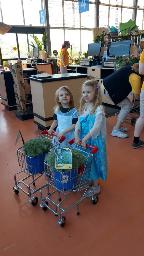 IMG_20190527_104159528_HDR