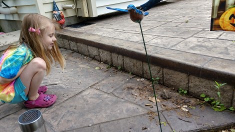 IMG_20190531_152308743_HDR