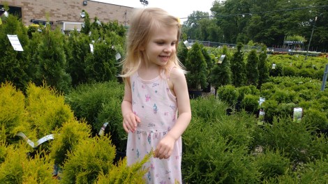 IMG_20190601_172401825_BURST001