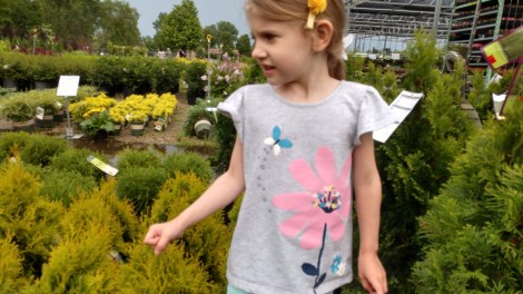 IMG_20190601_172453213_HDR