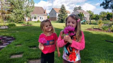 IMG_20190605_173249466_HDR