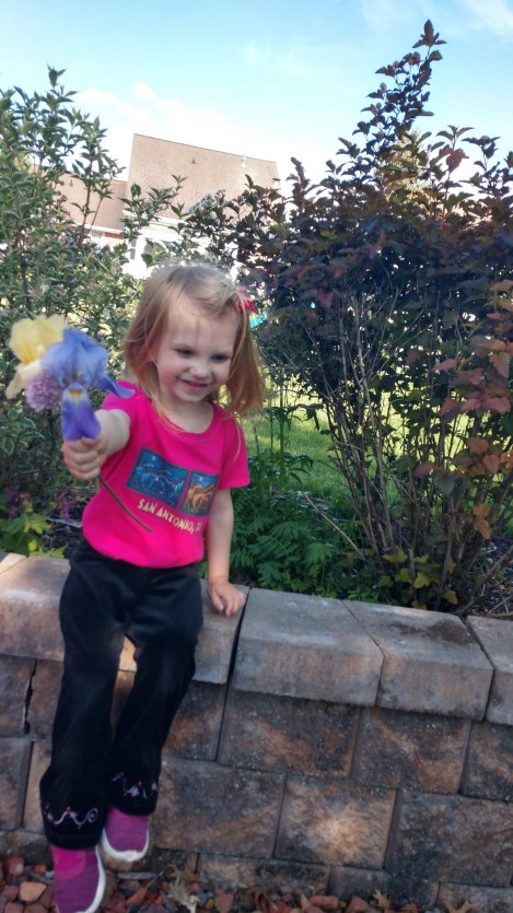 IMG_20190605_174052899_HDR