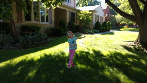 IMG_20190607_174012949_BURST005