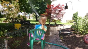 IMG_20190608_115456810_BURST002