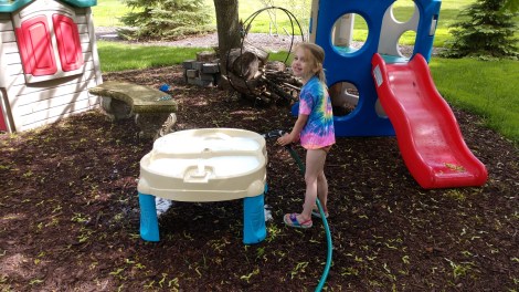 IMG_20190608_163352485_BURST003