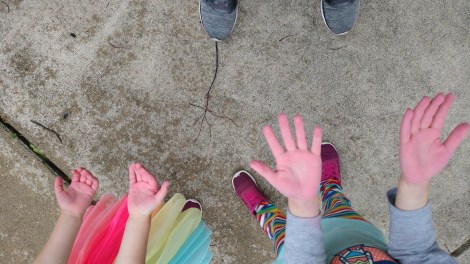 IMG_20190615_190121145_BURST000_COVER